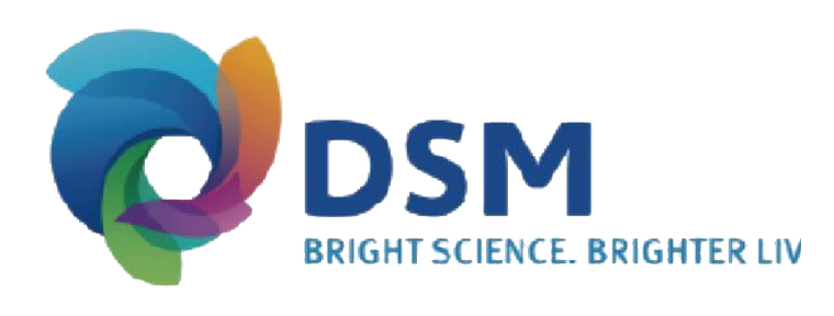 DSM