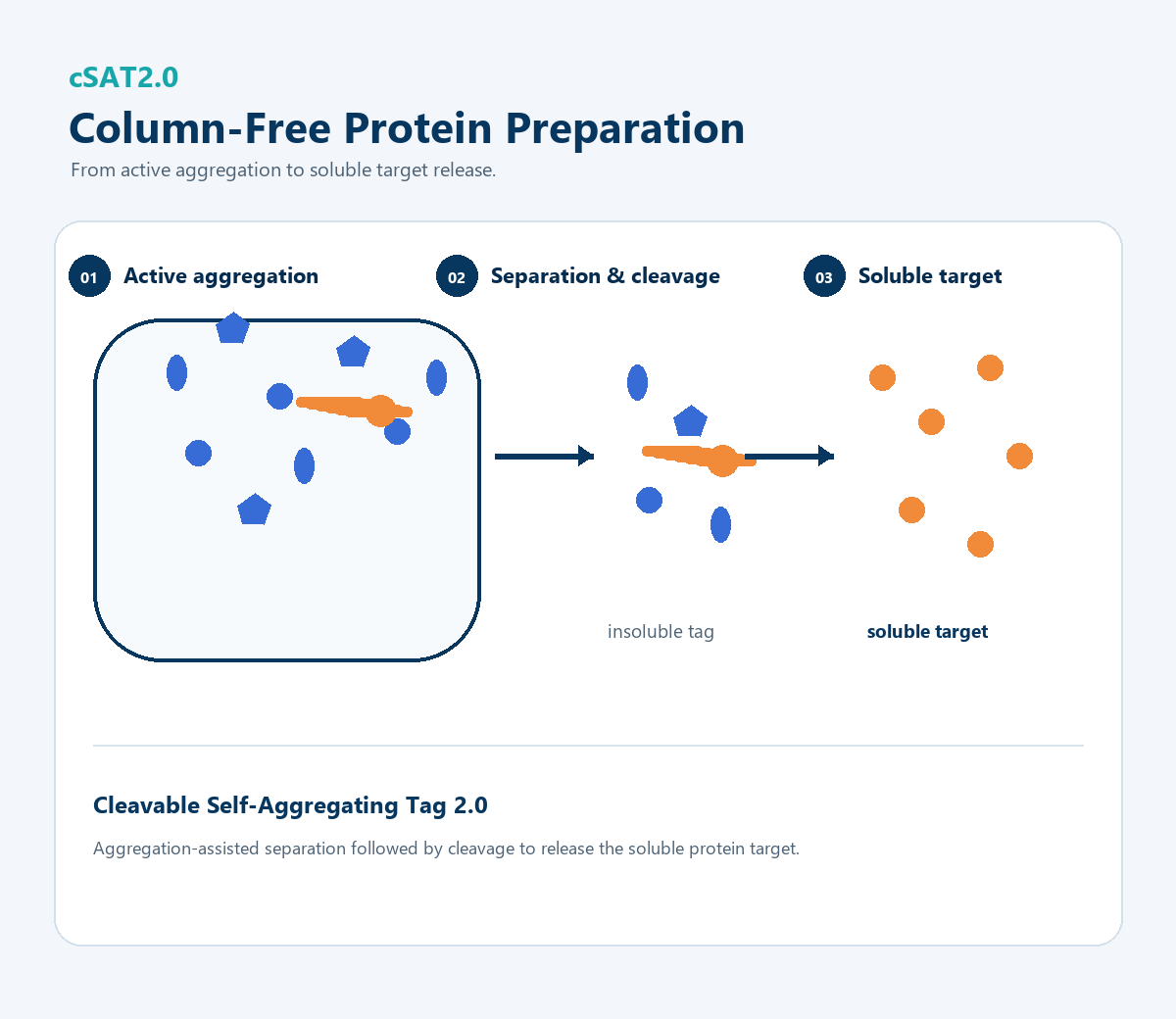 cSAT2.0 column-free protein preparation technology