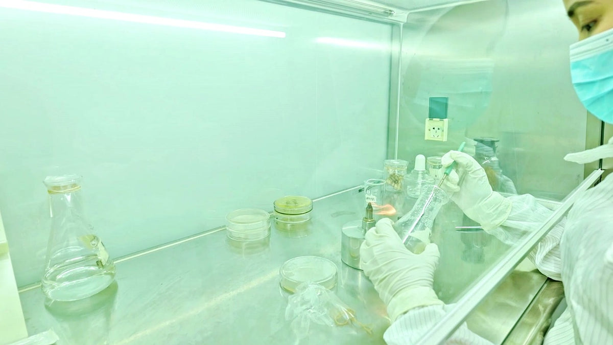 Research & Formulation